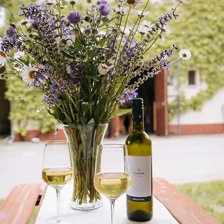 招待所 Vinny Sklep Andre *