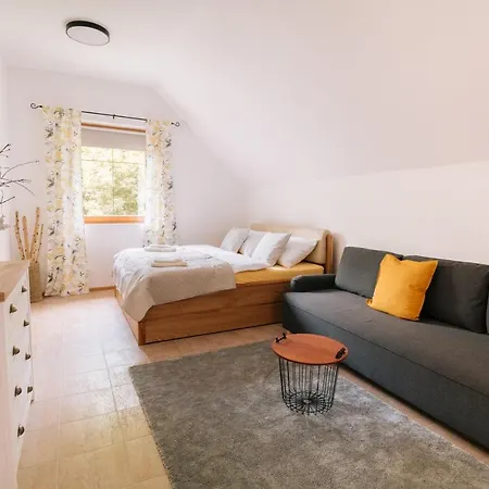 Vinny Sklep Andre 赫瓦洛沃埃斯